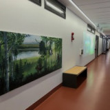 Nya Karolinska Hospital “The Painting”